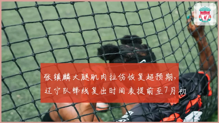 张镇麟大腿肌肉拉伤恢复超预期,辽宁队锋线复出时间表提前至7月初